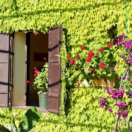 Troccoli Holiday home *