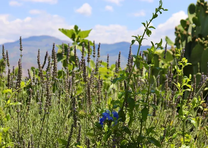 Holiday home Troccoli Caltabellotta
